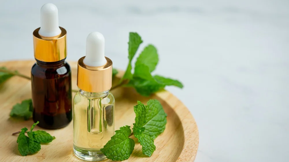 How to find best homeopathy dispensary in Dubai?